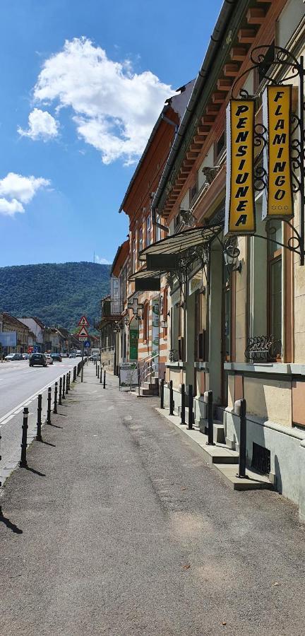 Pension Flamingo Brasov Luaran gambar